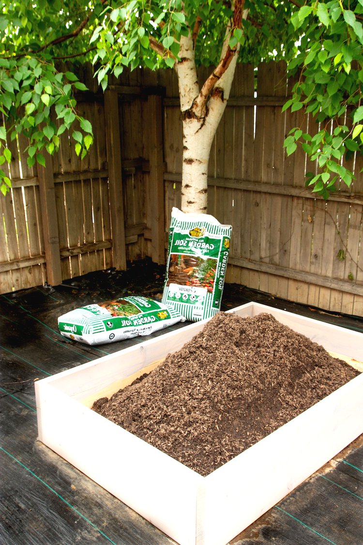 Облагораживаем участок - фото 8