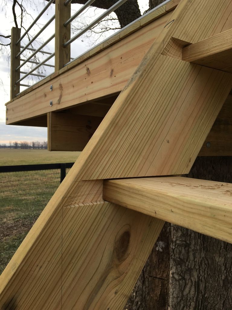 Крутой дом на дереве - фото 7