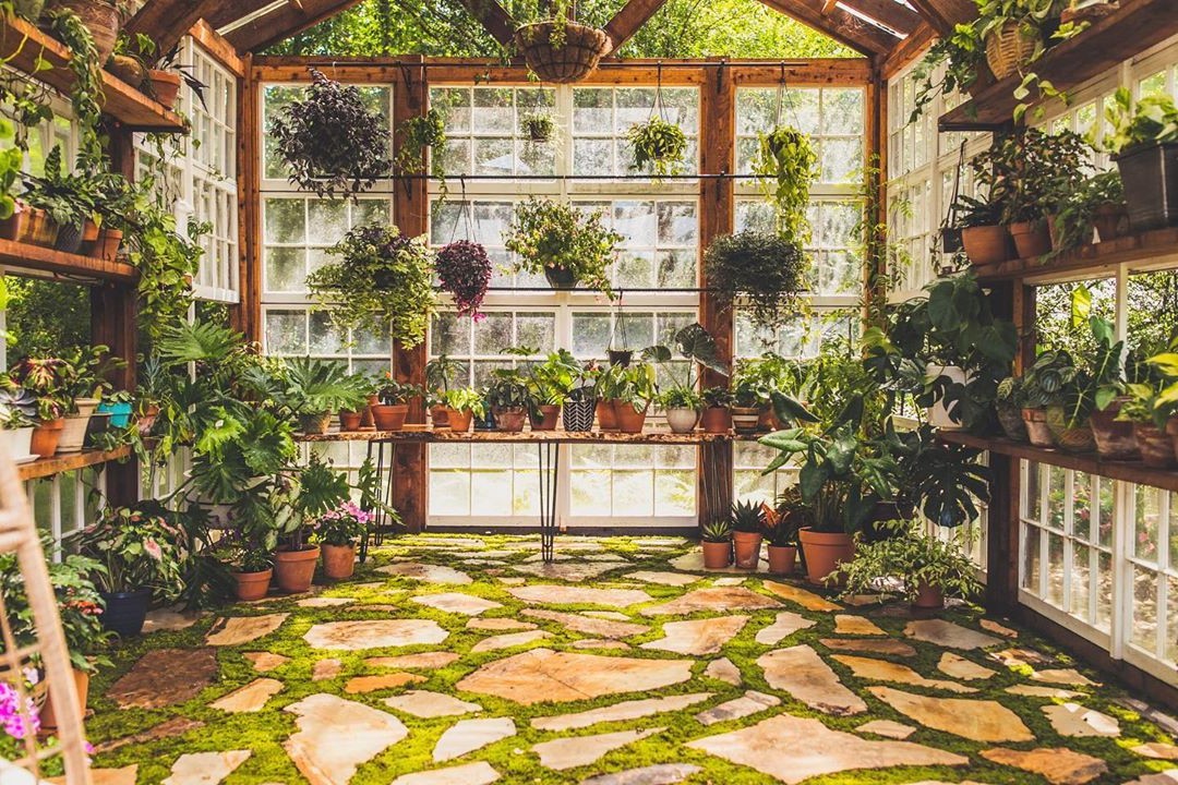 Удивительная оранжерея из старых окон - фото 30