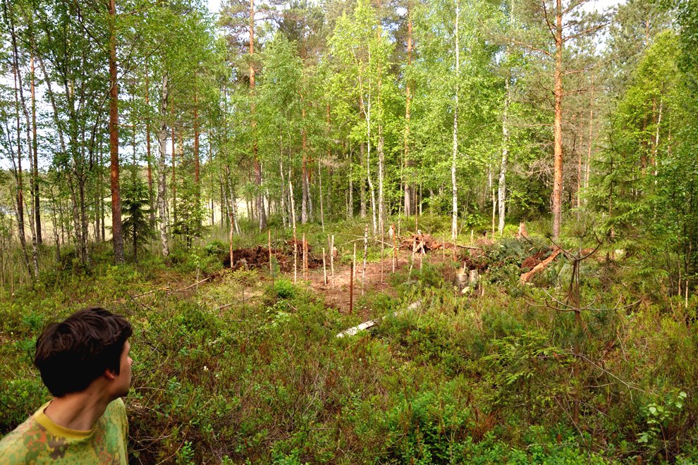 Дом у лесного озера - фото 2