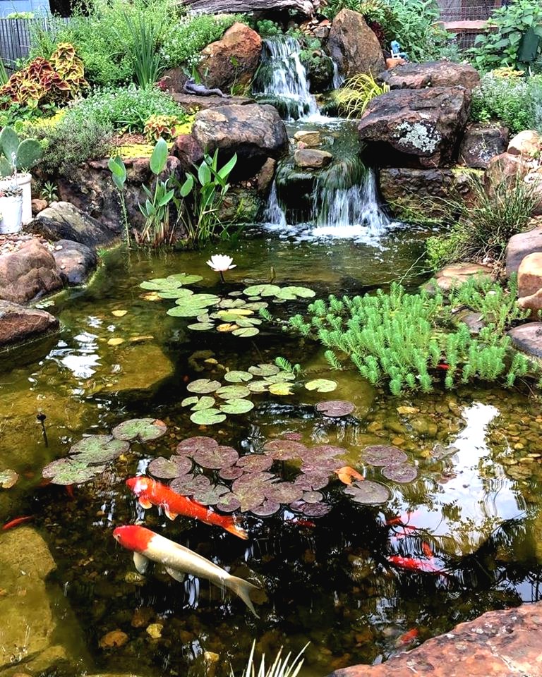 Небольшой пруд для дачи - фото 8