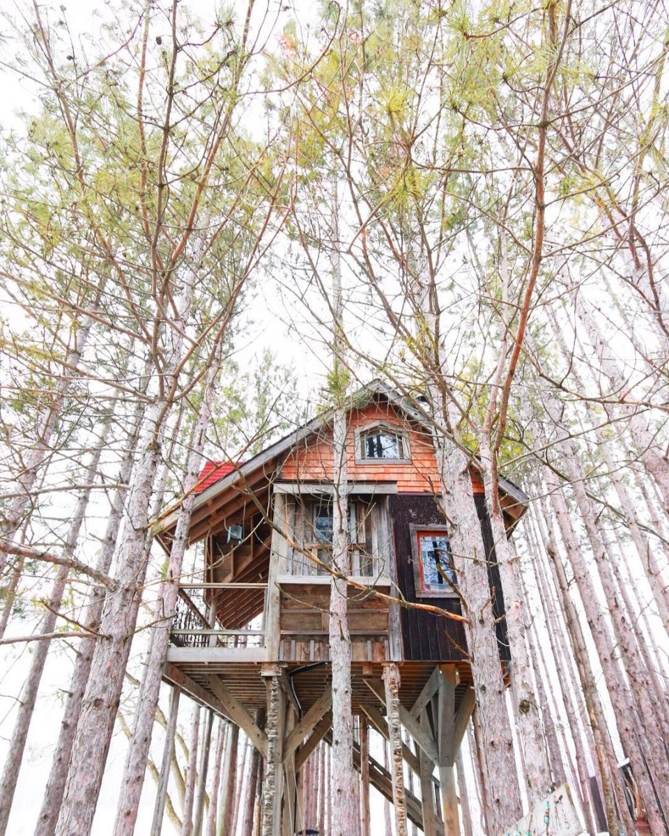 Дом на дереве - фото 11