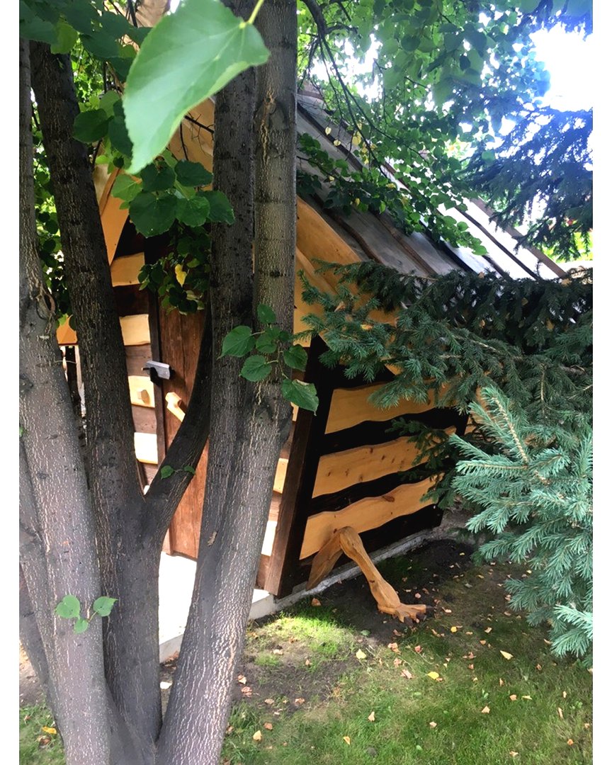 Оригинальный уличный туалет - фото 5