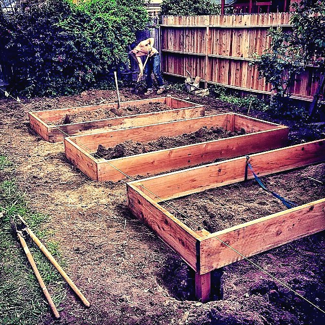 Огород на маленьком участке - фото 3