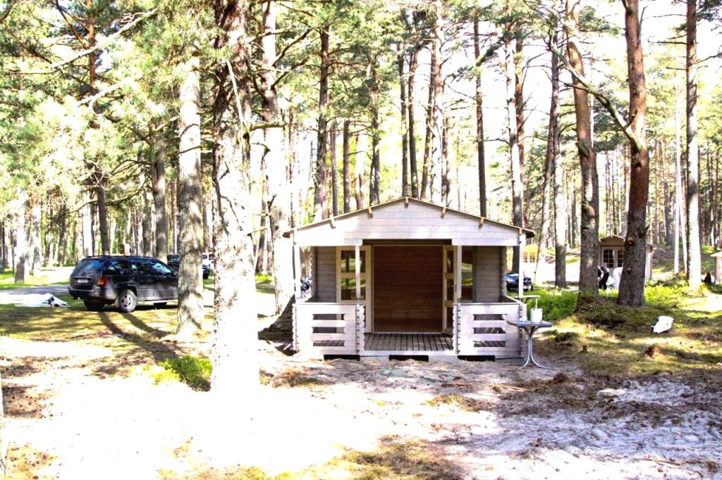 Садовый дом с террасой - фото 5