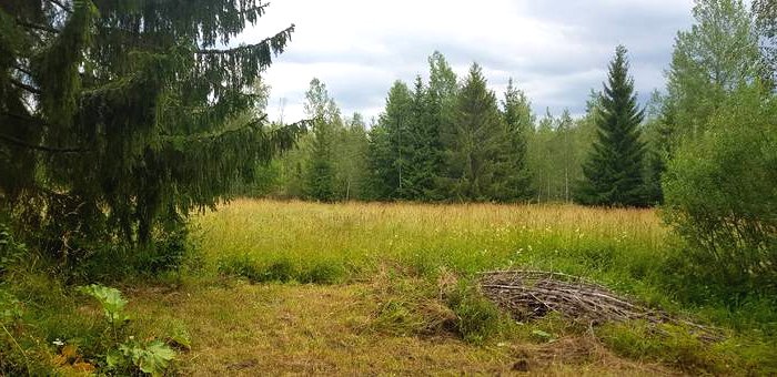 Сауна 2х2 метра - фото 3