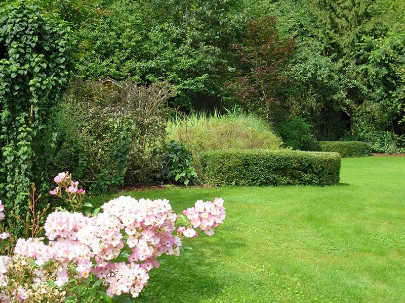 Естественный пруд - фото 16