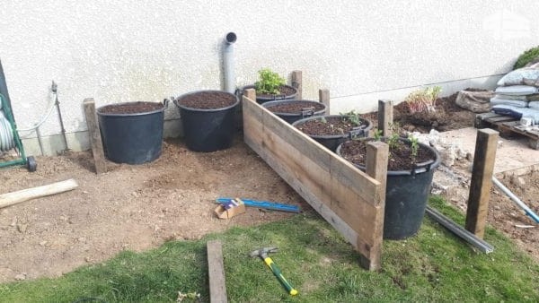 Грядка из поддонов и пластиковых горшков - фото 3