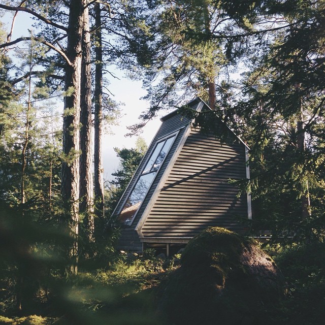 "Птичье гнездо" -  дом в лесу - фото 2