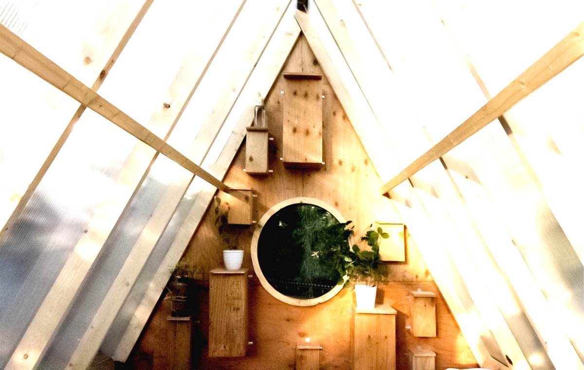 Необычный лесной домик - фото 2