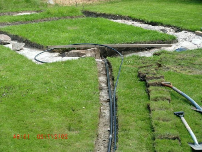 Оранжерея - фото 2