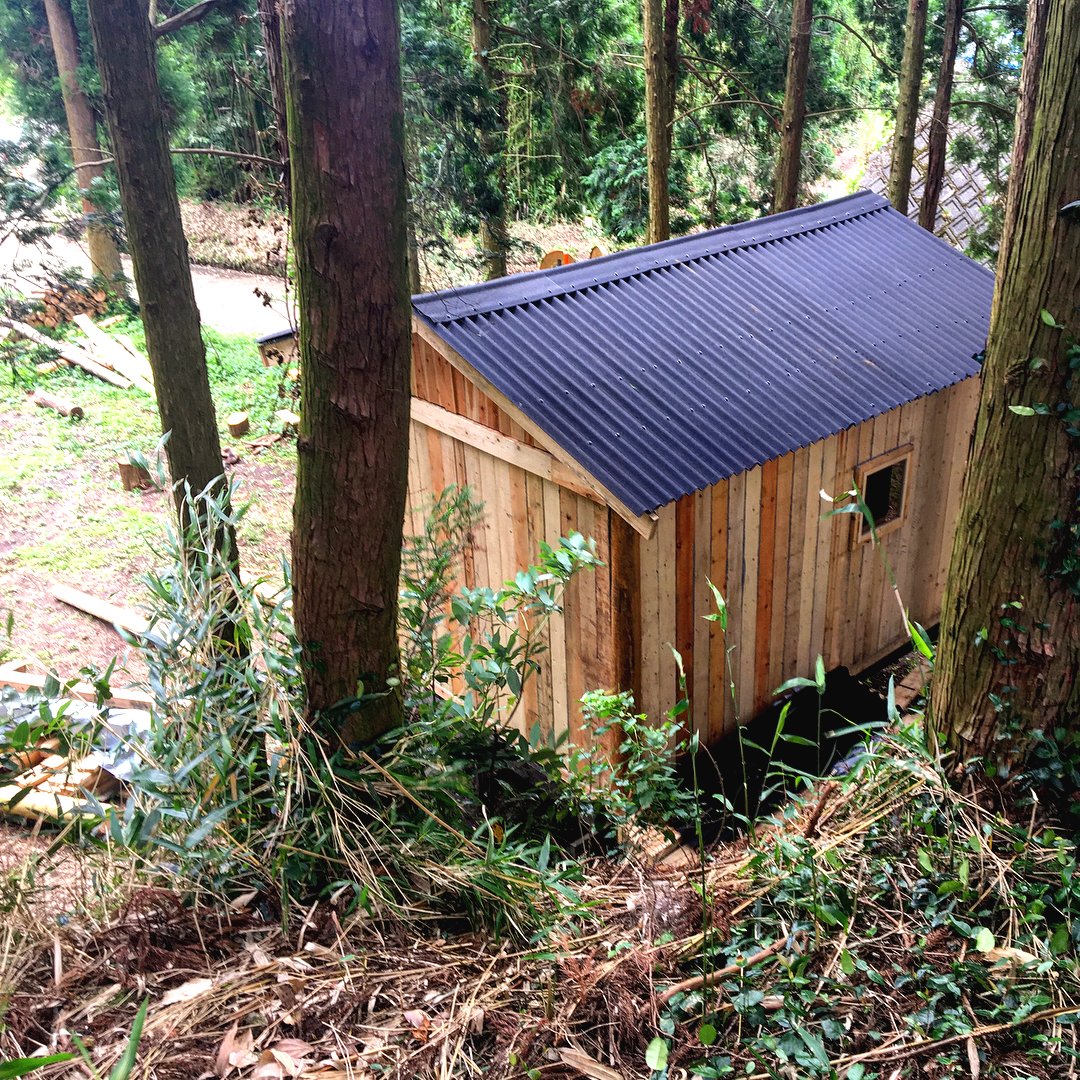 Хижина в лесу на деревянных столбах - фото 19