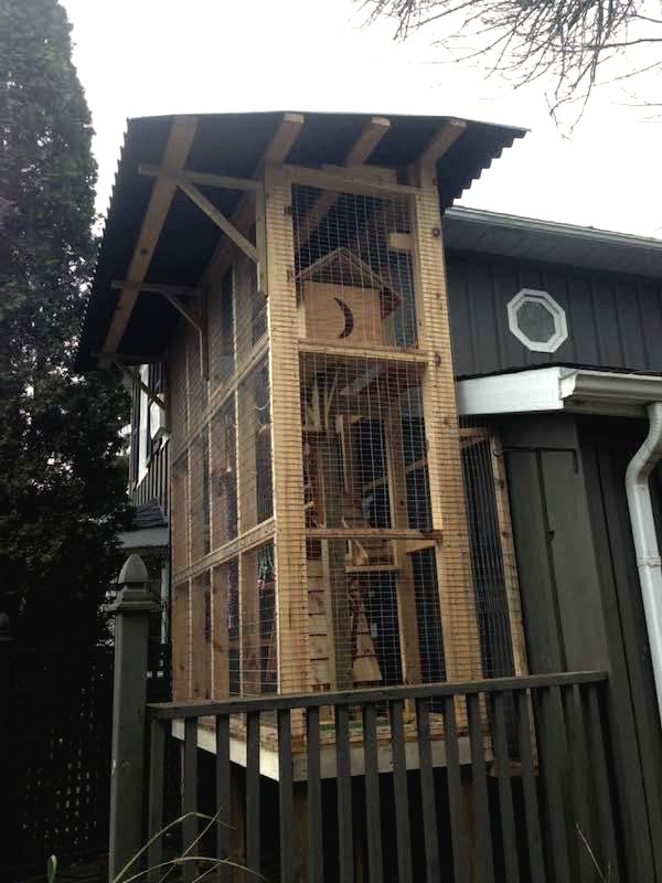 Дачный домик для кошки - фото 6