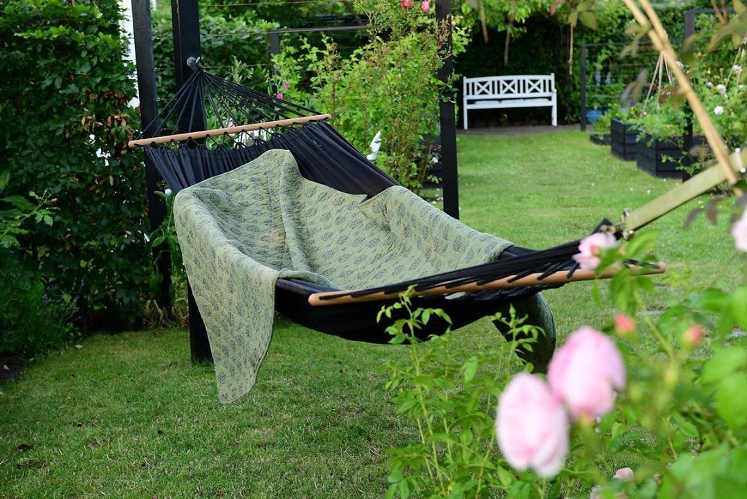 Розы в овощном саду - фото 3