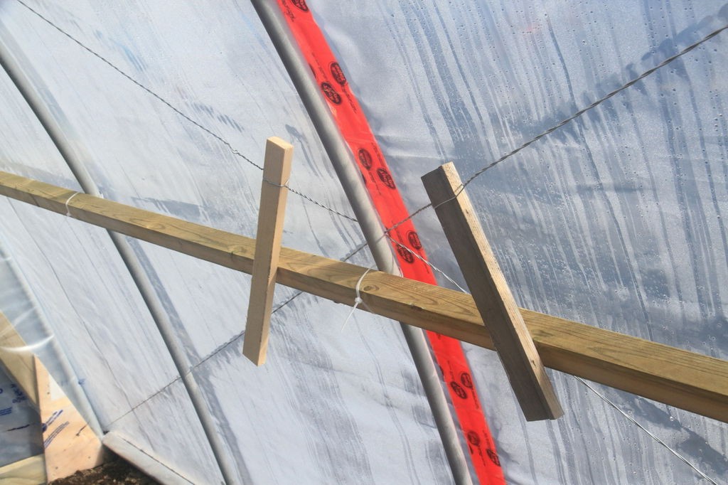 Теплица для Севера - фото 12