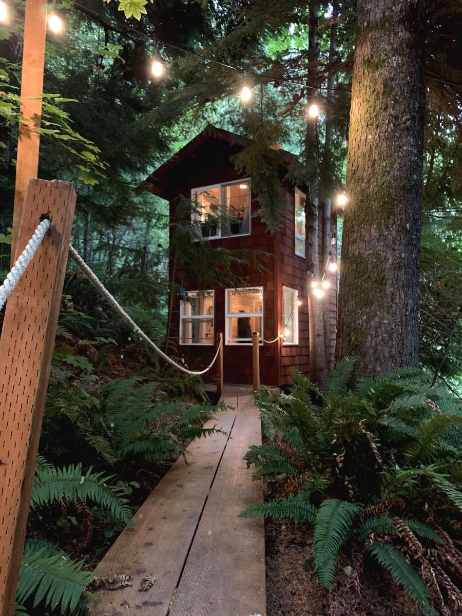 Домик на дереве - фото 24