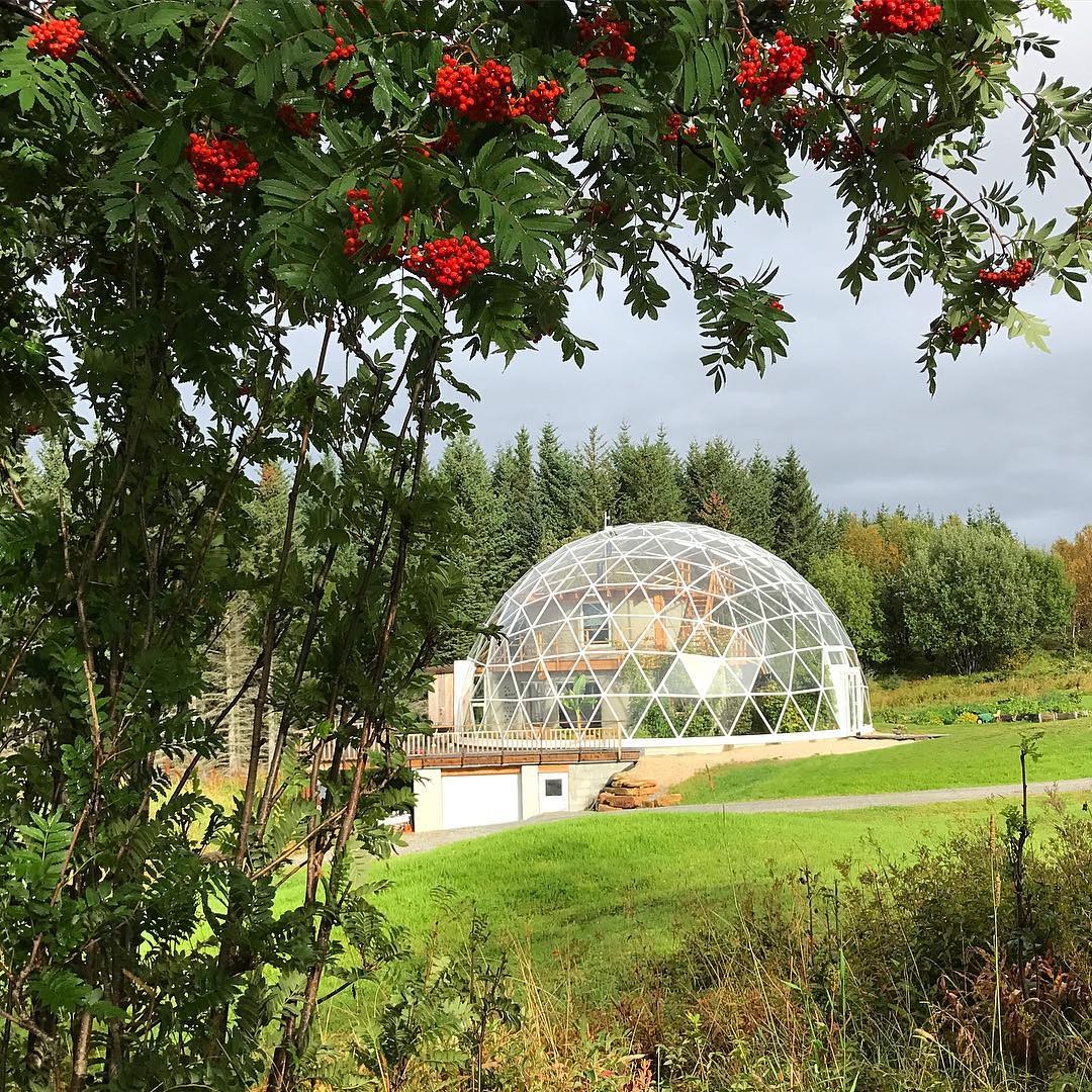 Дом под геодезическим куполом - фото 5