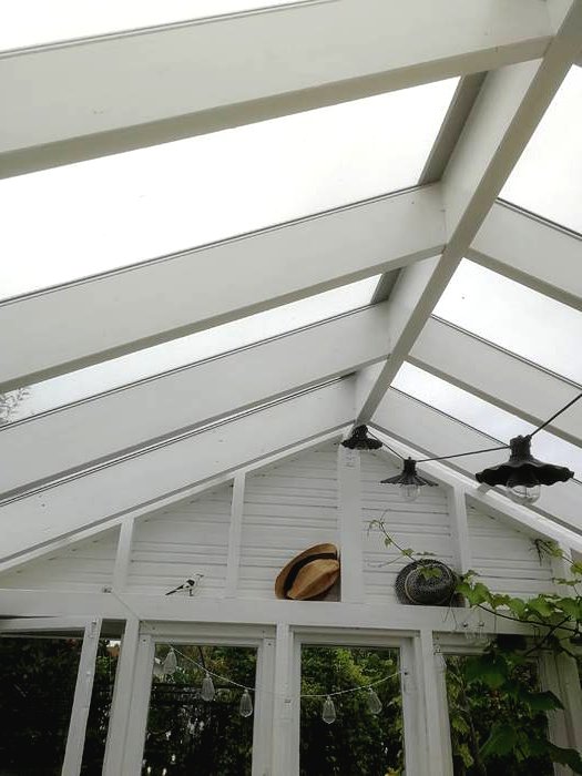 Необычная оранжерея - фото 13