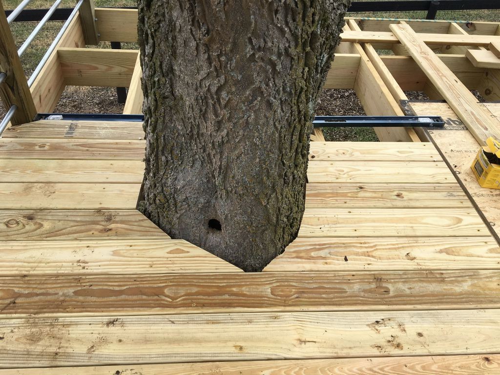 Крутой дом на дереве - фото 4