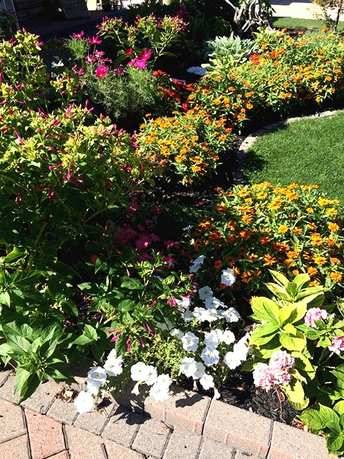 Улучшаем участок перед домом  - фото 13