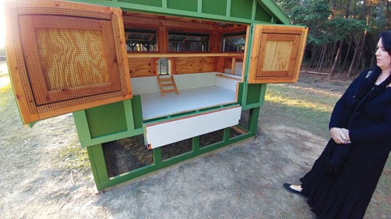 Идея для курятника - фото 6