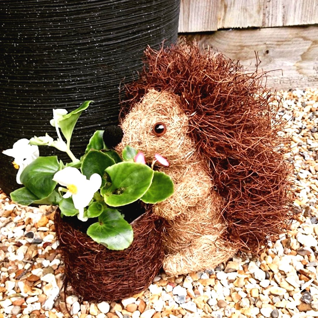 Интересные цветочные горшки для вашего сада - фото 4