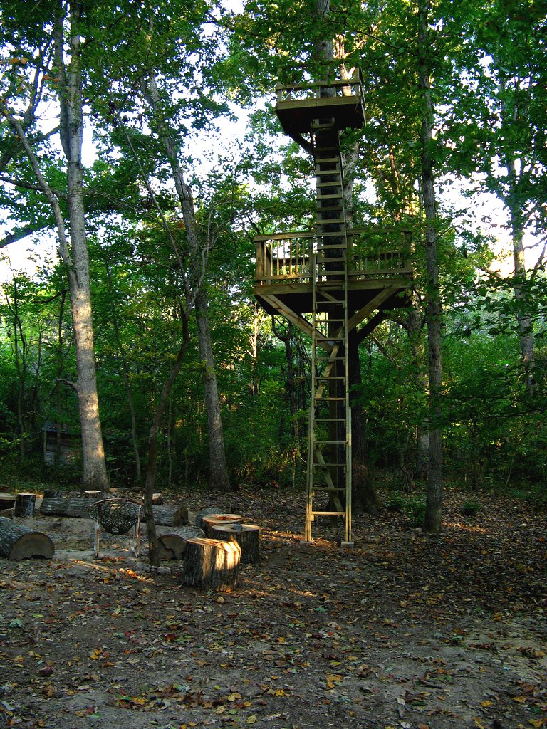 Открытая терраса на дереве - фото 2