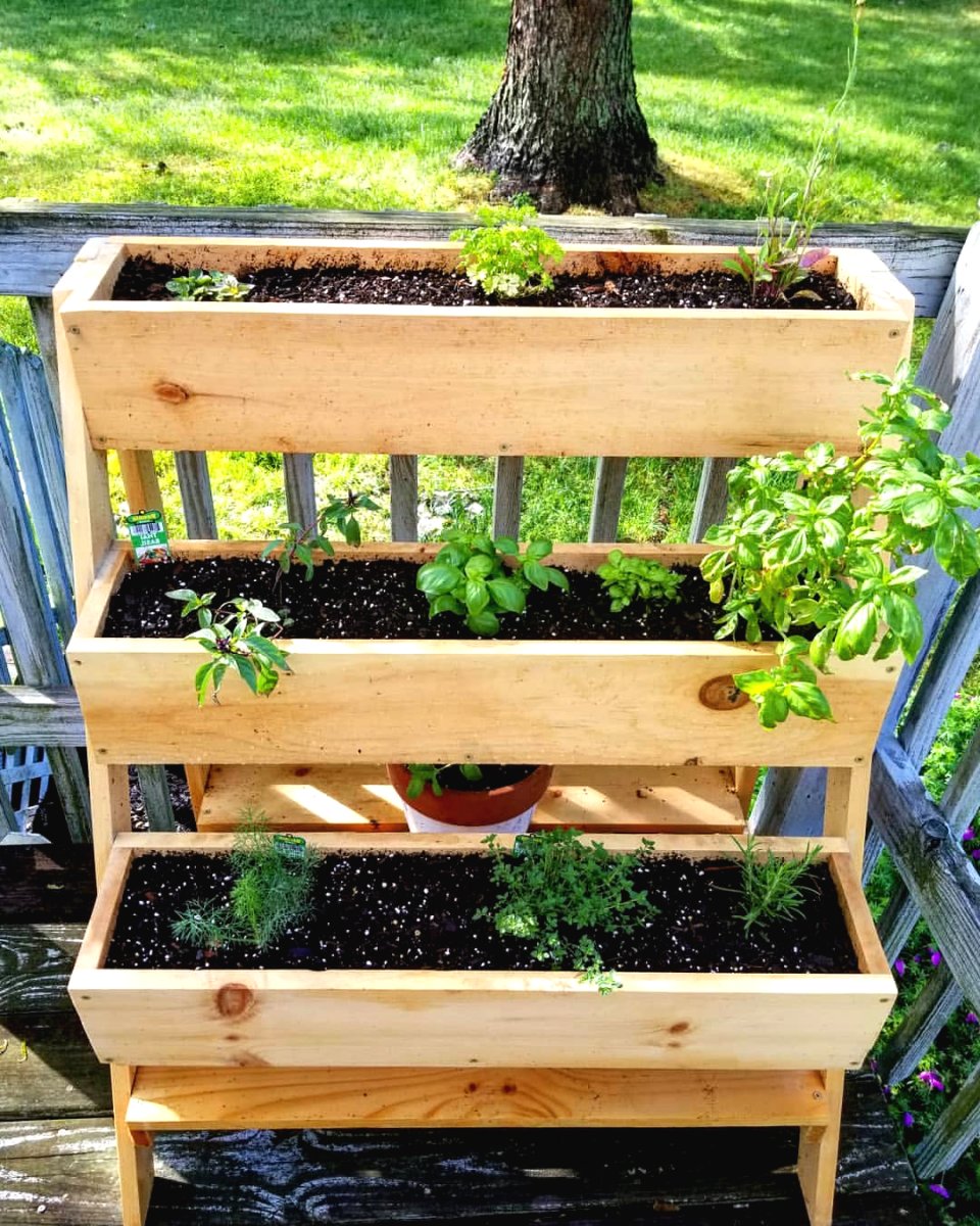 Оригинальные идеи для вертикального сада - фото 9