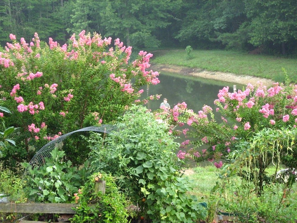 Простая беседка из металлической сетки - фото 5