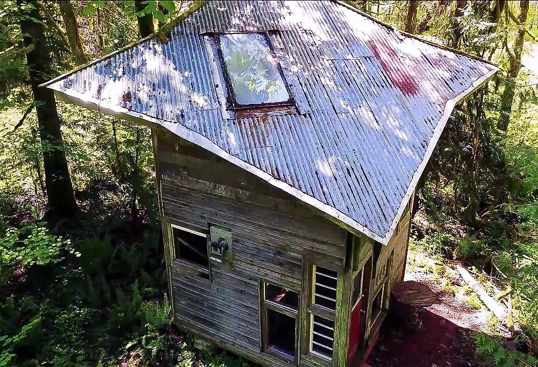 Дом с односкатной крышей - фото 4