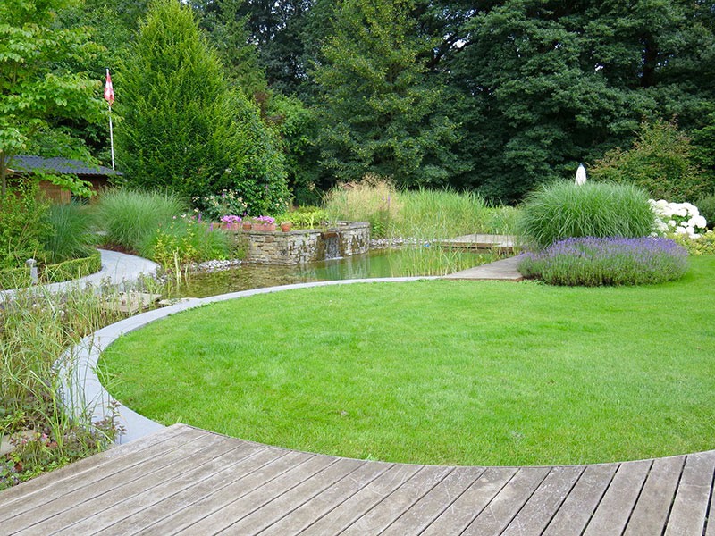 Естественный пруд - фото 6