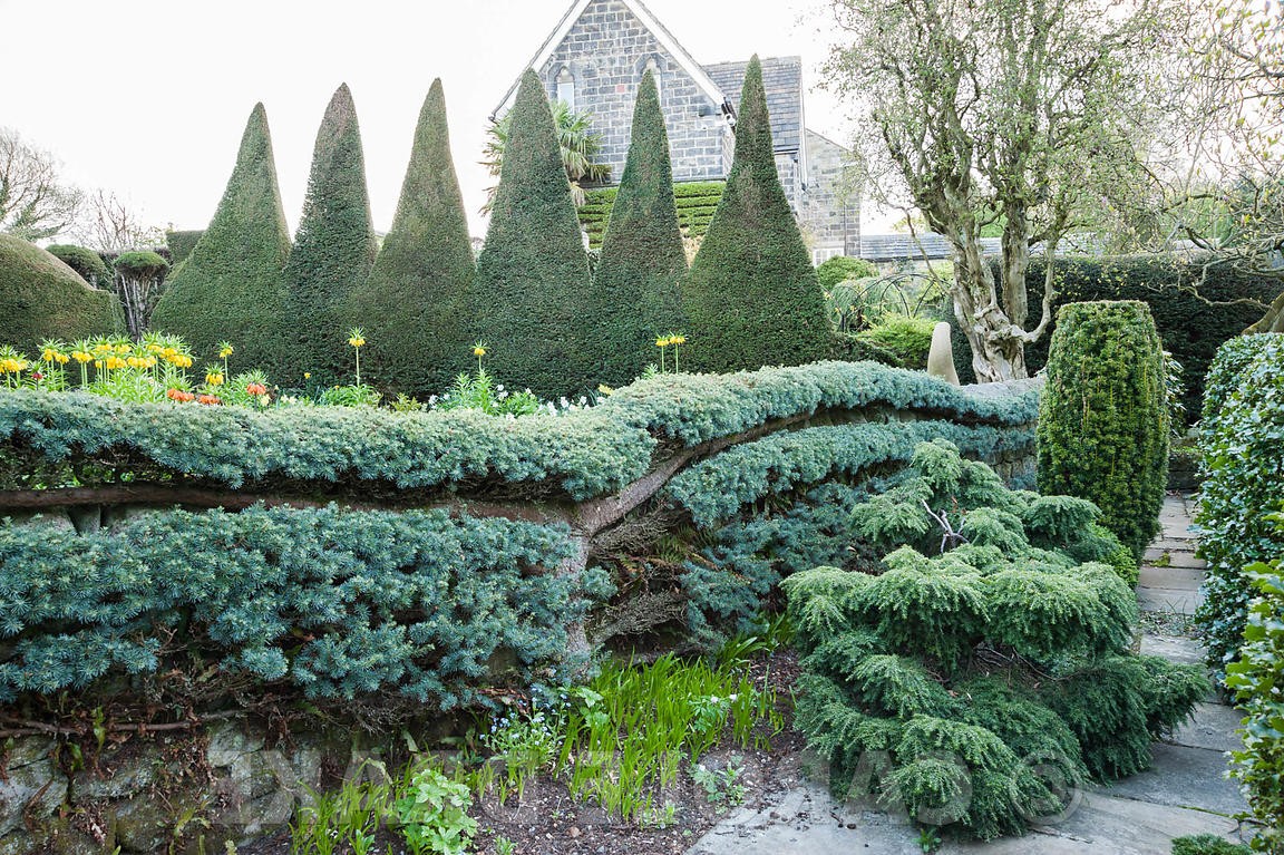 Йоркские ворота - дизайн сада - фото 17