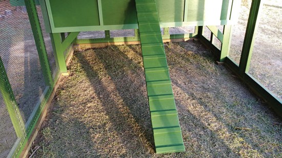 Идея для курятника - фото 7