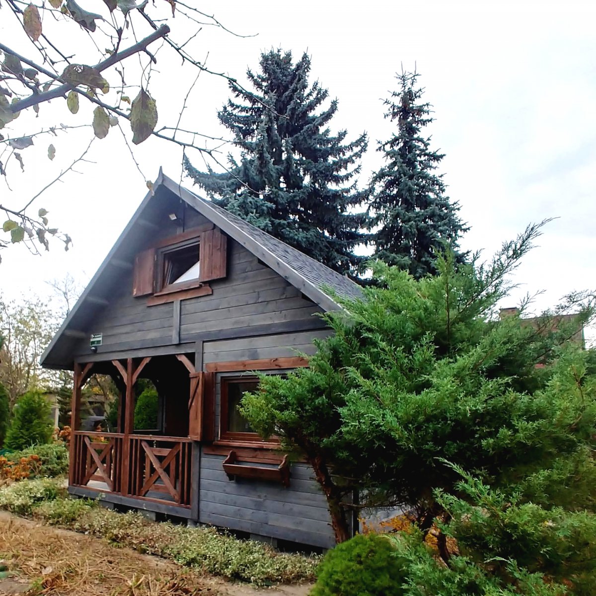 Деревянный дом 5 х 5 метров - фото 6