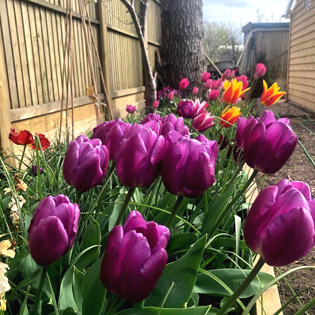 Необычное оформление огорода своими руками - фото 18