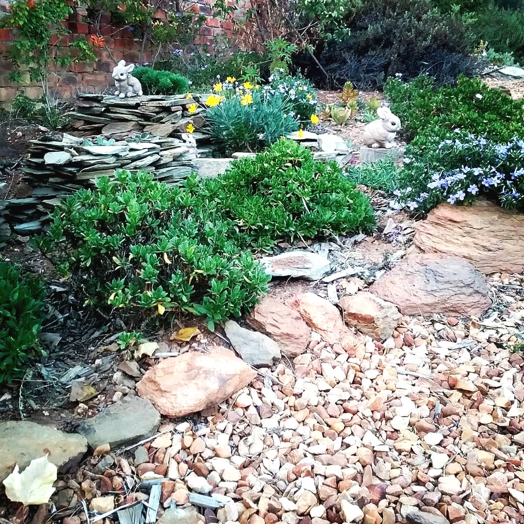 Оригинальные клумбы - фото 2