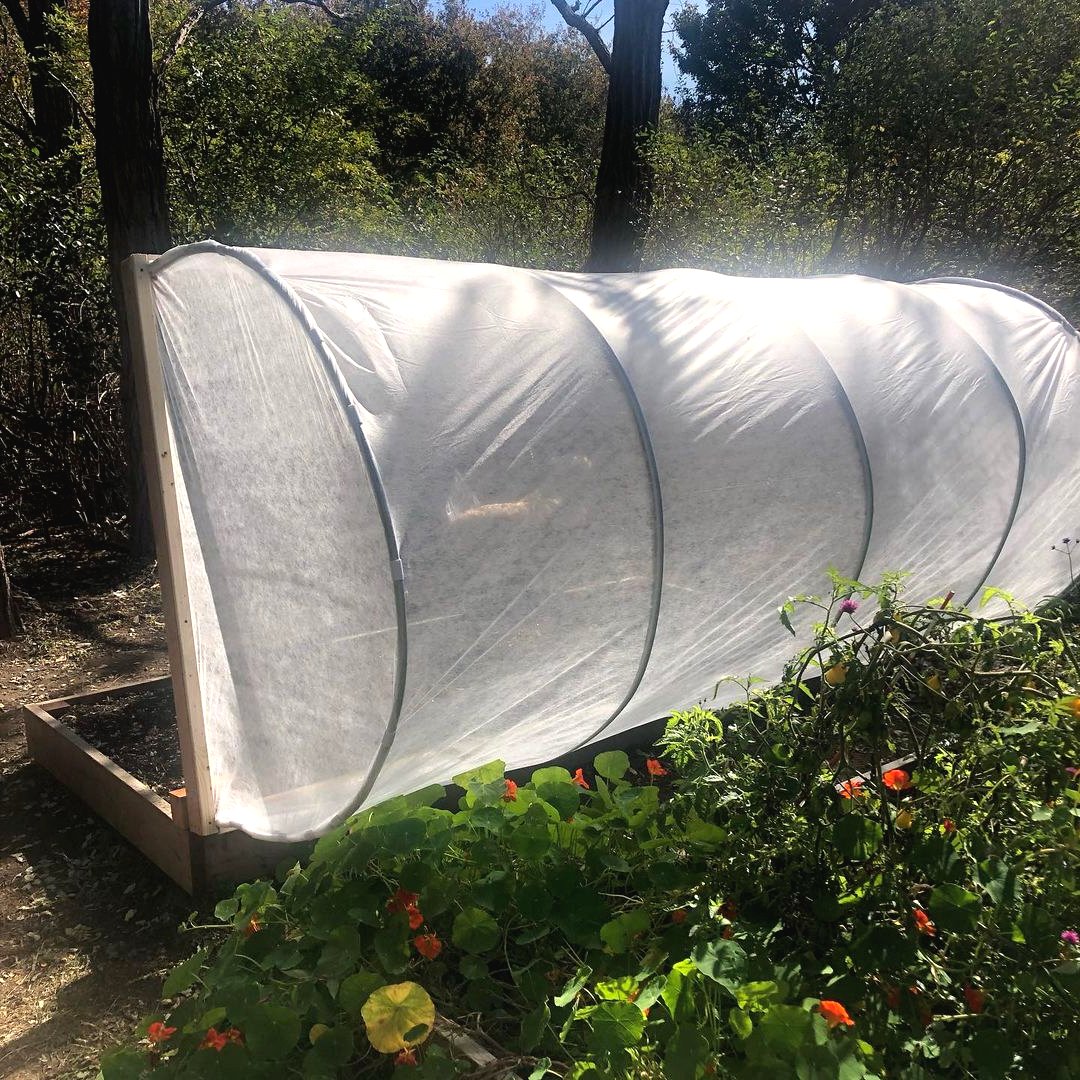 Парник из дерева и пластиковых труб. - фото 9