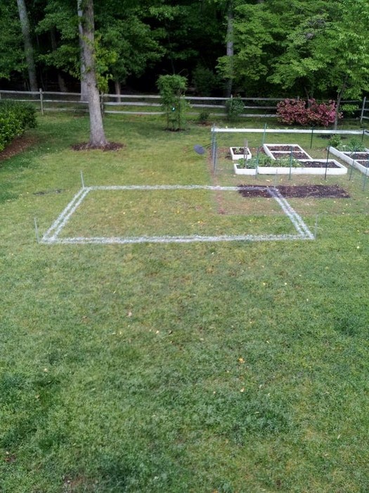 Оранжерея - фото 6