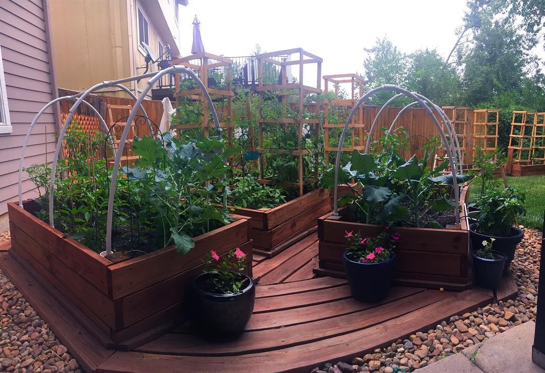 Планировка рассады - фото 3