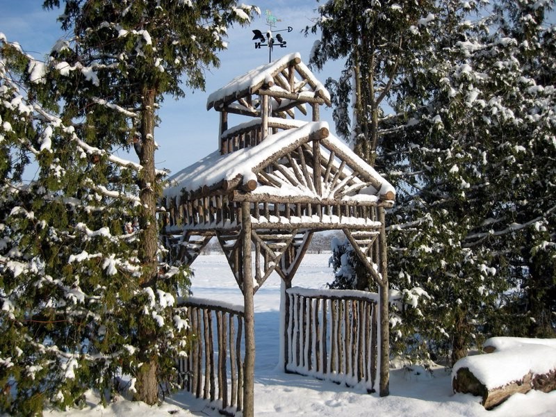 Беседка из стволов деревьев - фото 11