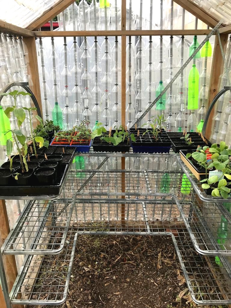 Теплица из пластиковых бутылок - фото 18