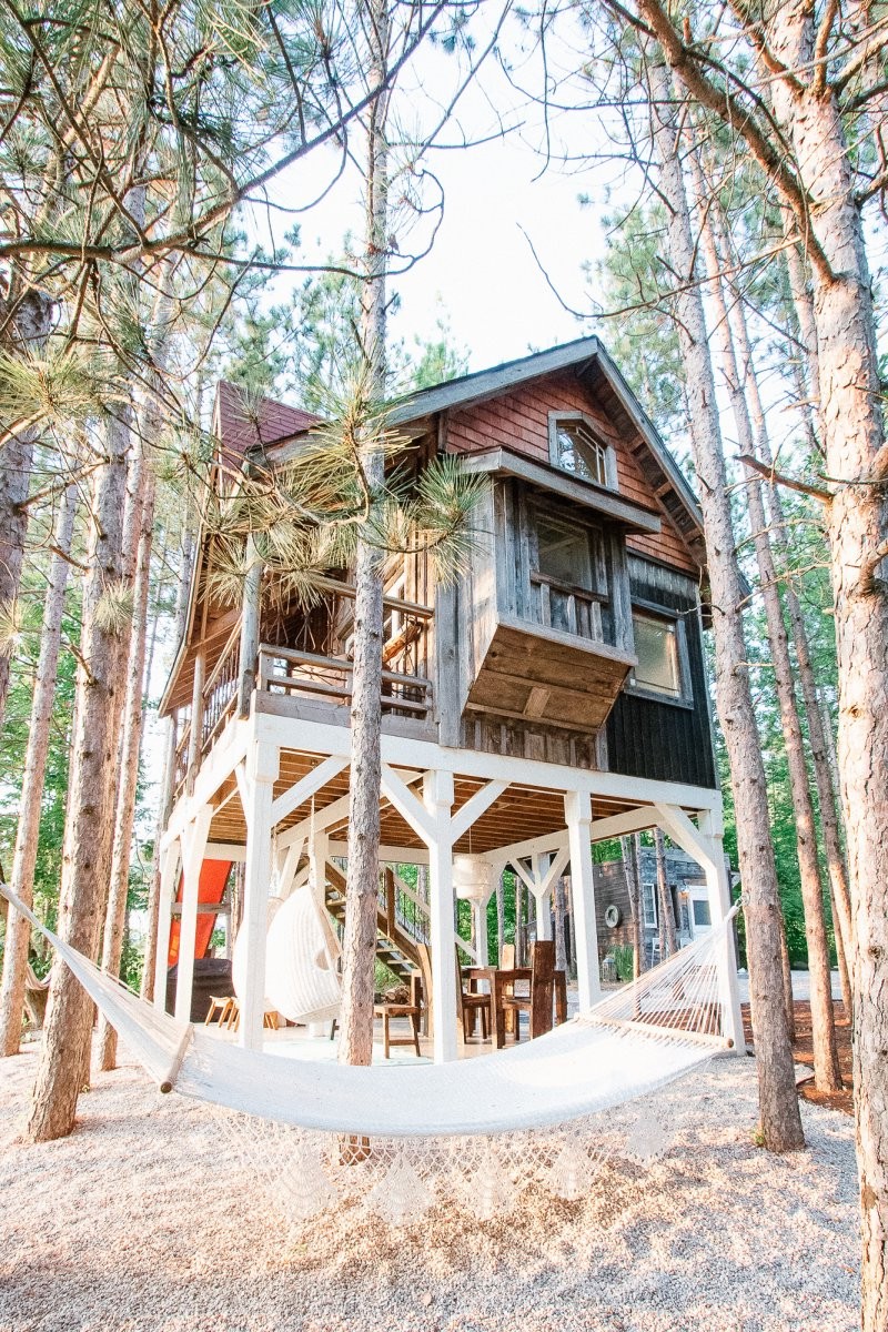 Дом на дереве - фото 4