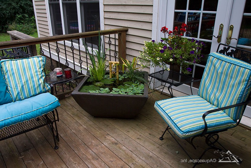 Мини пруд - фото 2