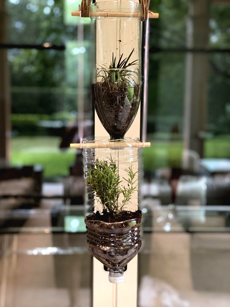 Вертикальны сад из пластиковых бутылок - фото 2