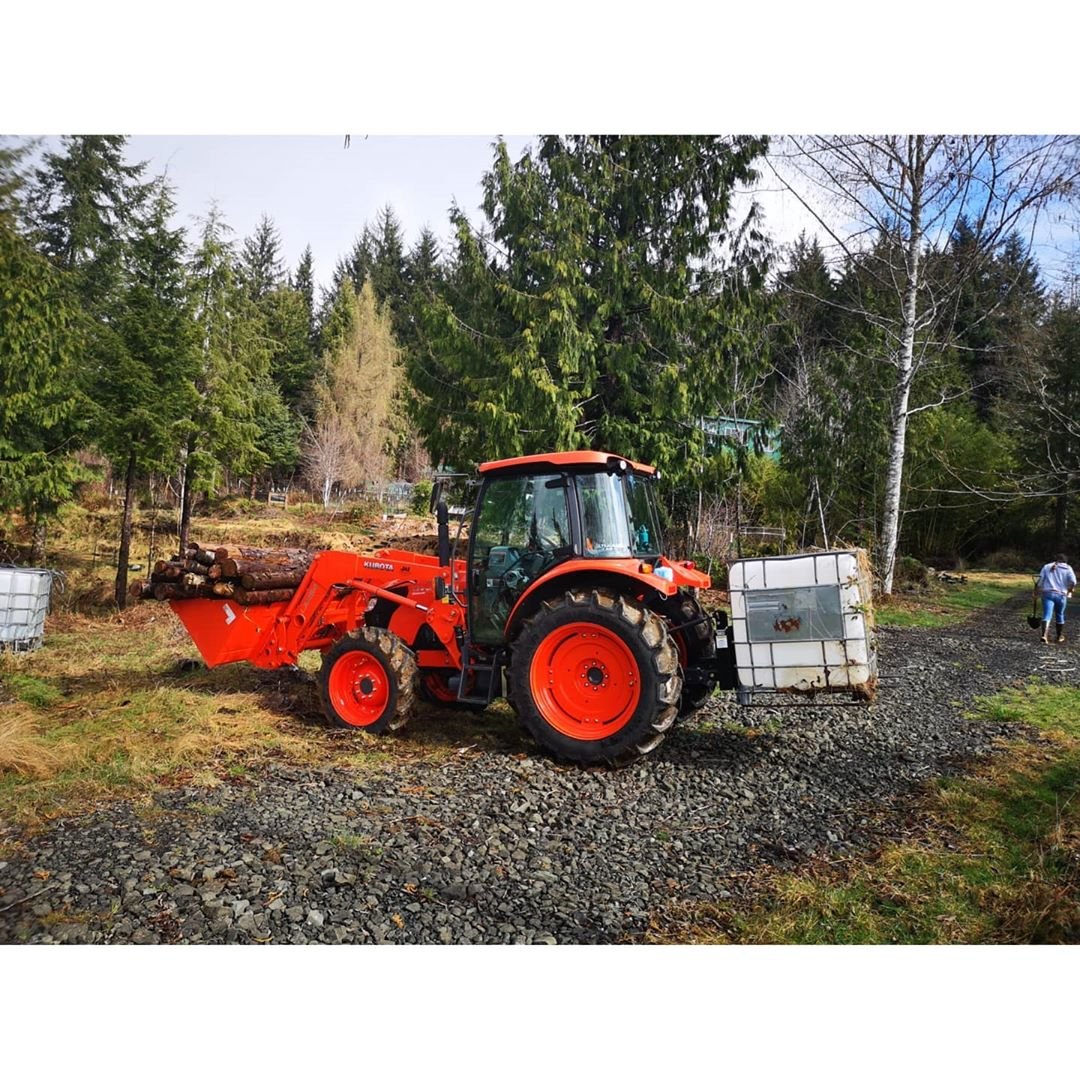 Невысокие грядки из стволов деревьев - фото 2
