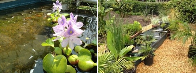 Пруд из старой лодки - фото 2