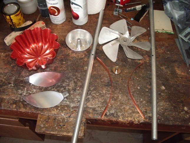 Цветы, которые не нуждаются в уходе - фото 2