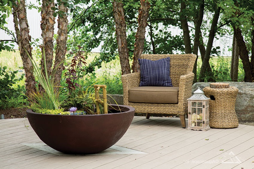 Мини пруд - фото 4