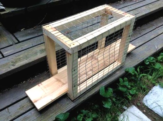 Дачный домик для кошки - фото 8