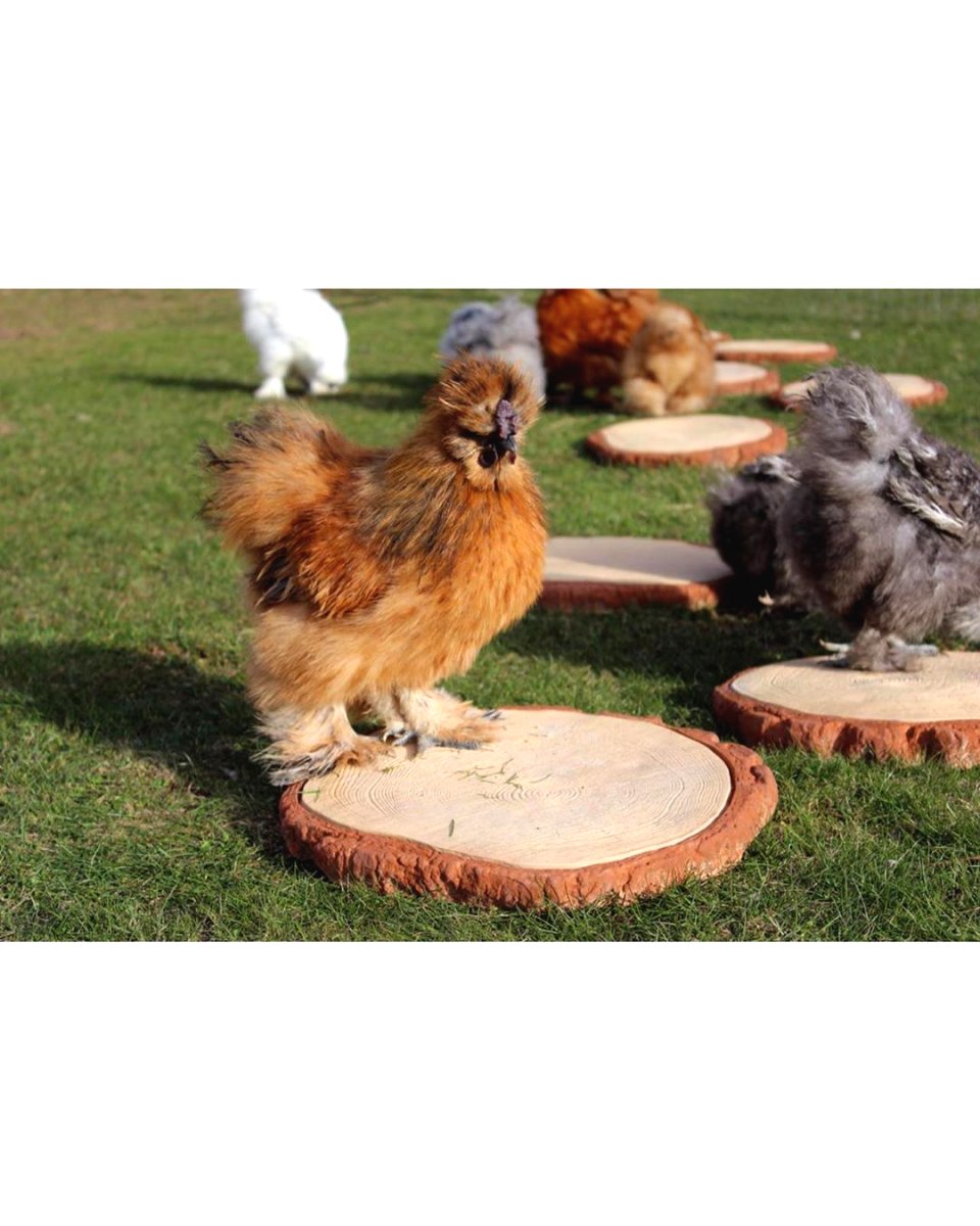 Интересная садовая дорошка - фото 6